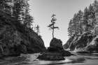 Deadmans Cove at Cape Disappointment State Park in Washington State, USA Art Print
